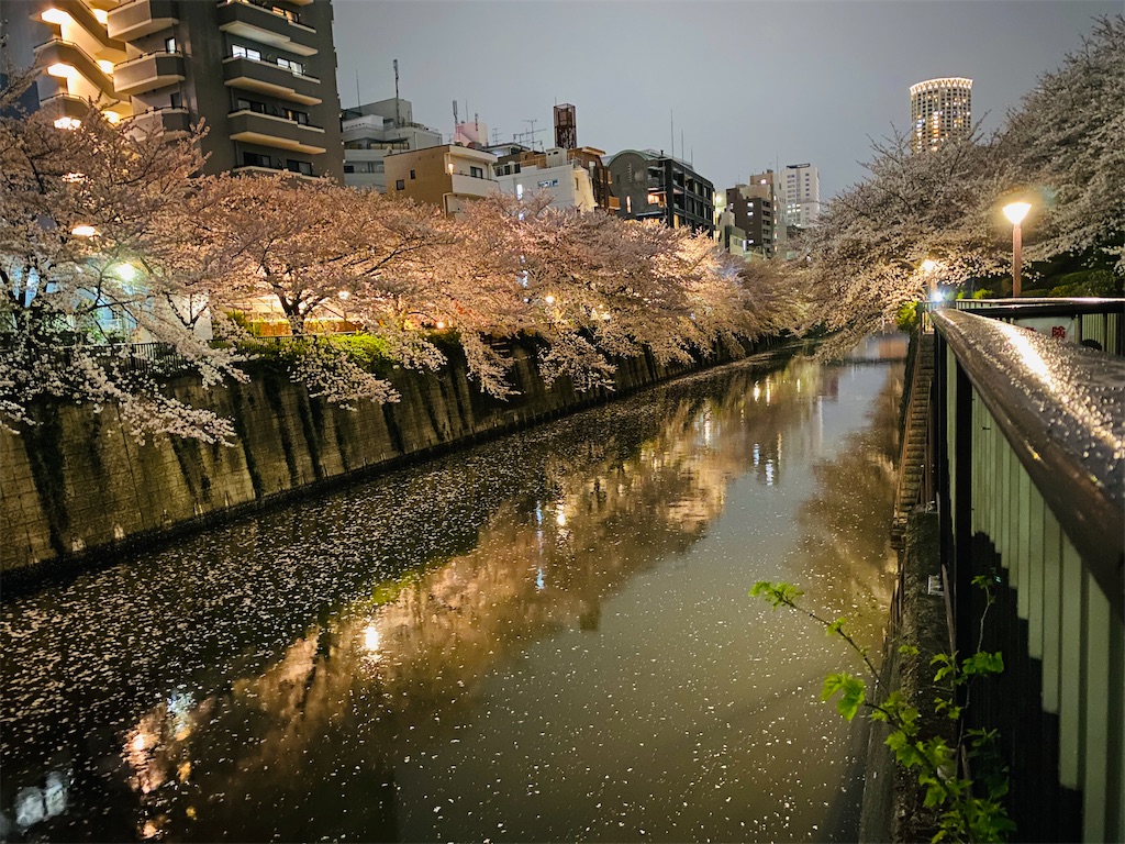 f:id:omuameba:20210328205659j:image