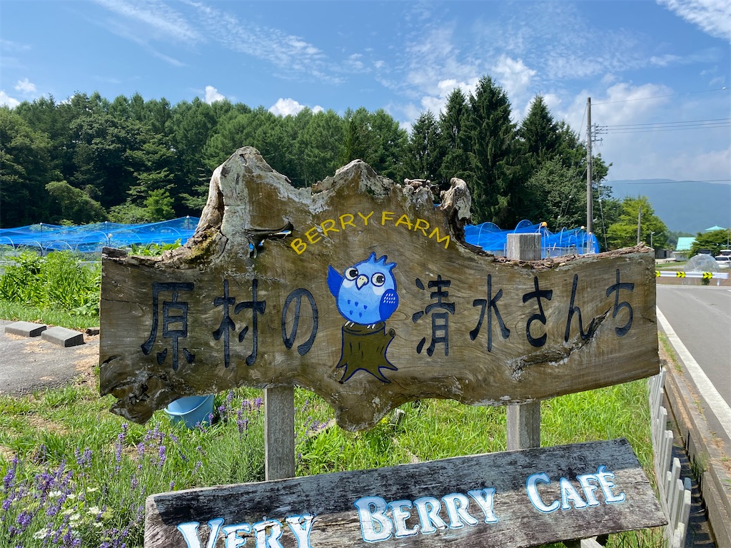 f:id:omugi-komugi:20250715102011j:image