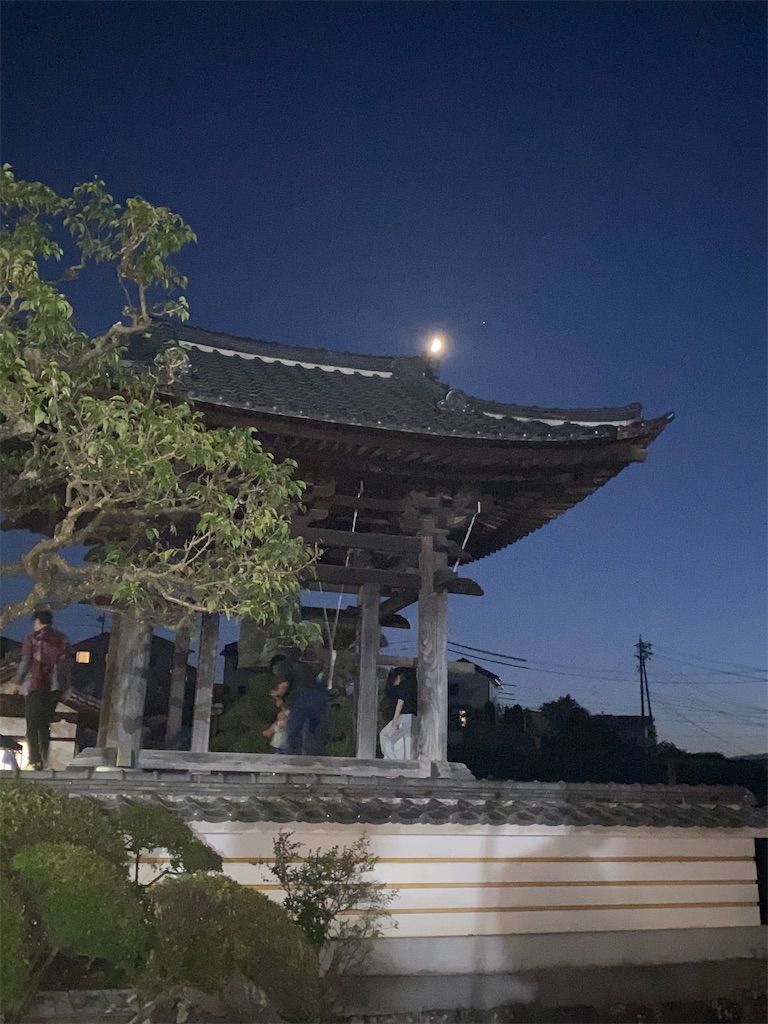 f:id:omugi-komugi:20250805074618j:image