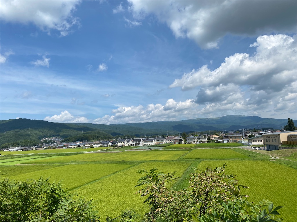 f:id:omugi-komugi:20250819101838j:image