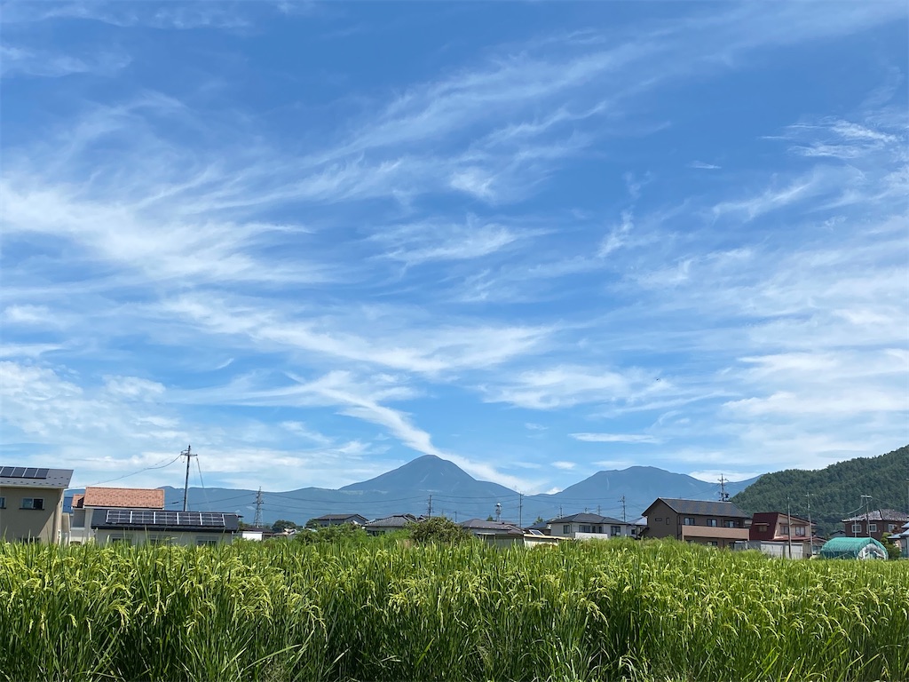 f:id:omugi-komugi:20250819101843j:image