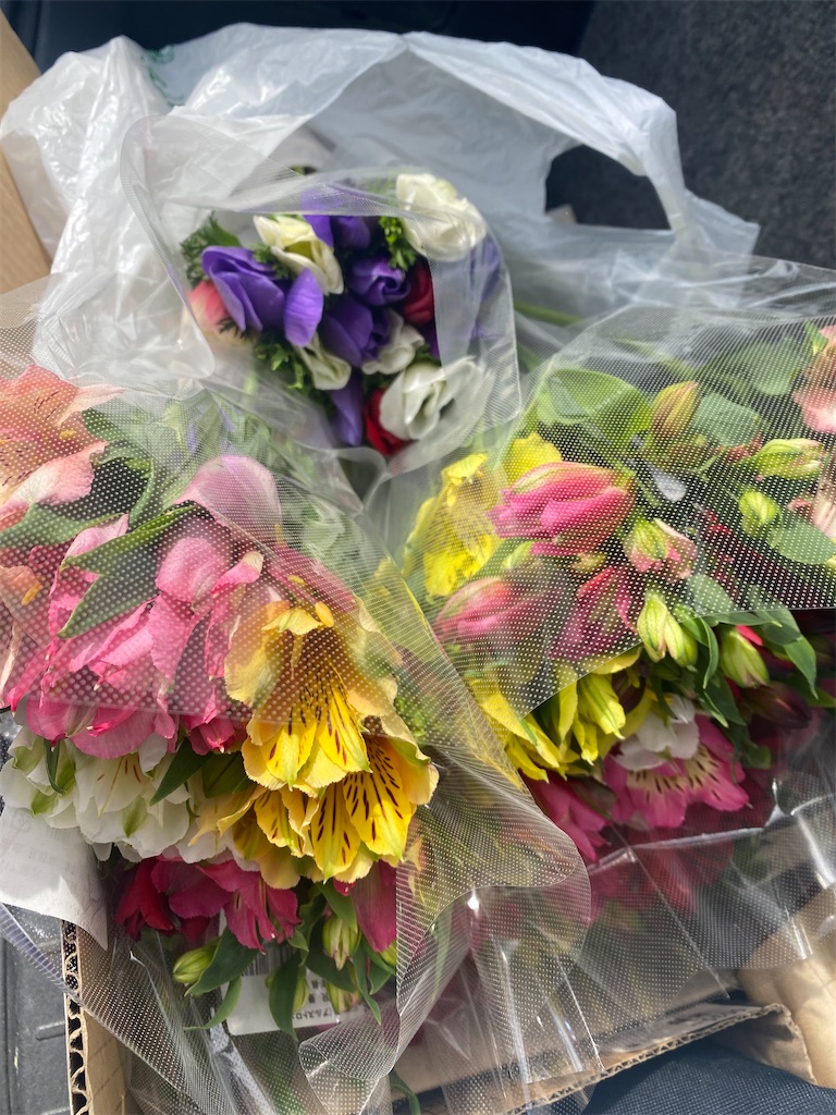 f:id:omugi-komugi:20260320213422j:image f:id:omugi-komugi:20260320213422j:image