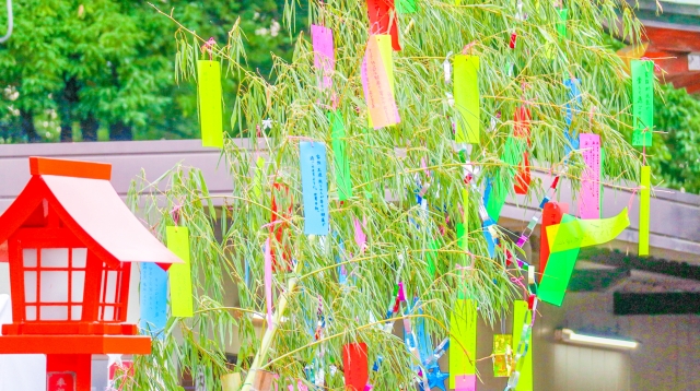 f:id:omuomublog:20210707084531j:plain