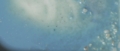 f:id:omusubi_iwata:20111029194340j:image:medium