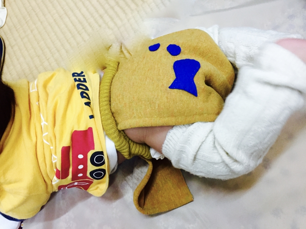 f:id:omutsunashi-kyoto:20171130094214j:plain f:id:omutsunashi-kyoto:20171130094214j:plain