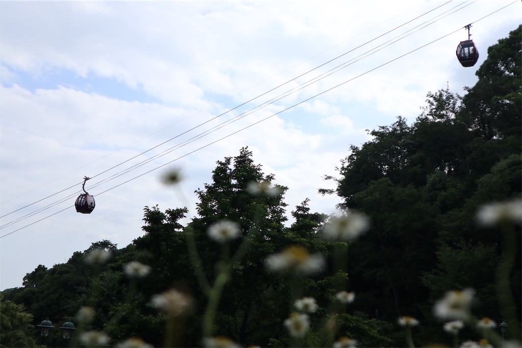 f:id:omux:20191106221249j:image
