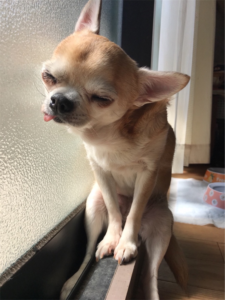 f:id:omuyaaaaan:20180330192120j:plain