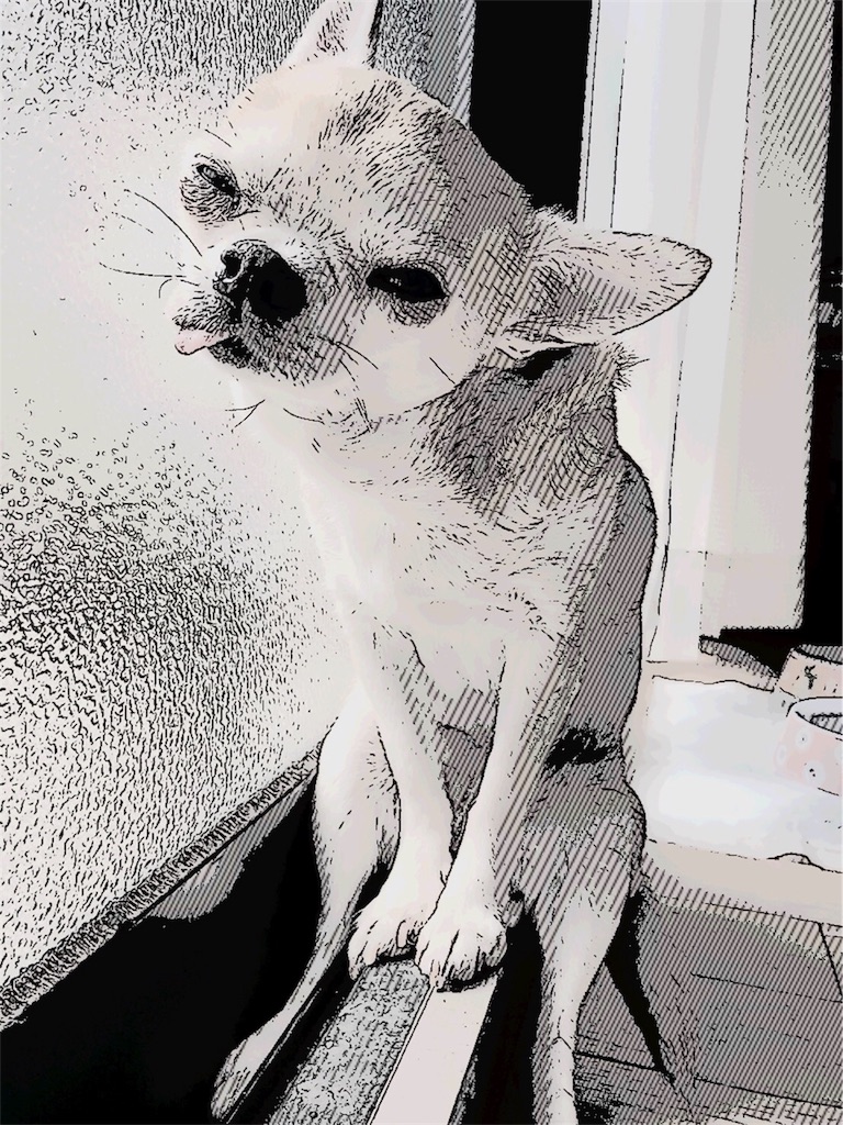 f:id:omuyaaaaan:20180403071555j:plain
