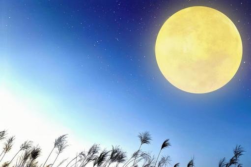 f:id:omuzig:20211123003239p:plain