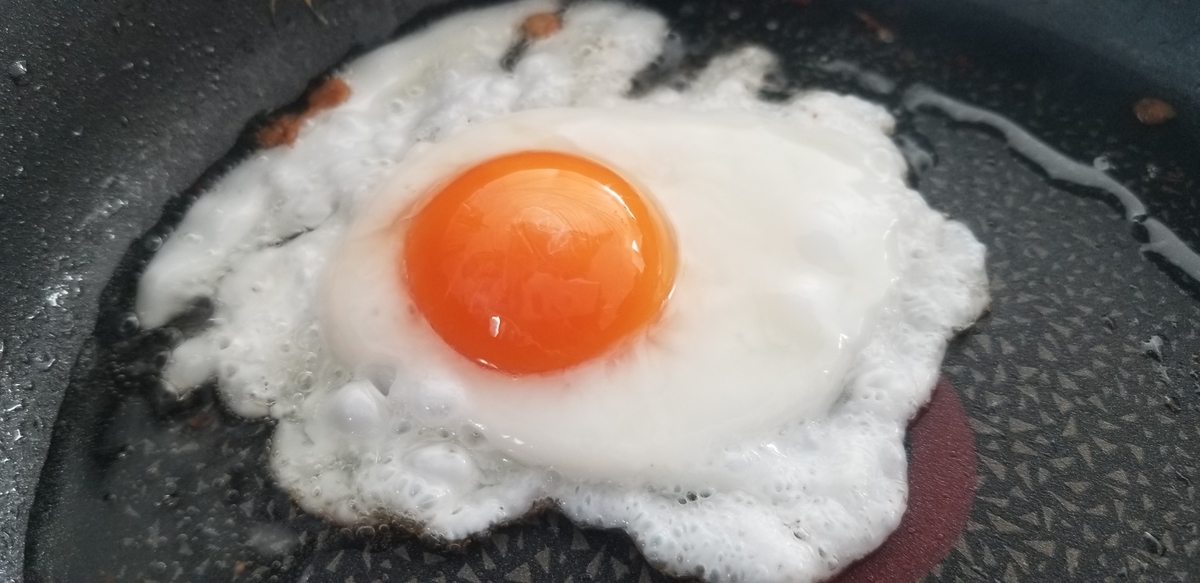 f:id:omuzig:20211130192208j:plain