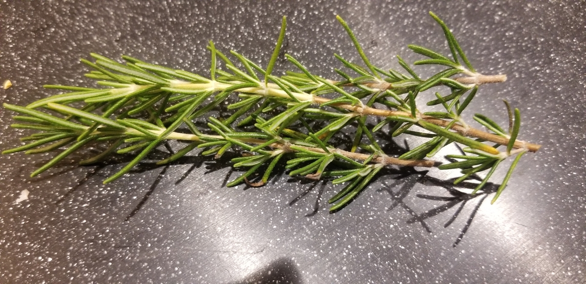 f:id:omuzig:20211204081909j:plain