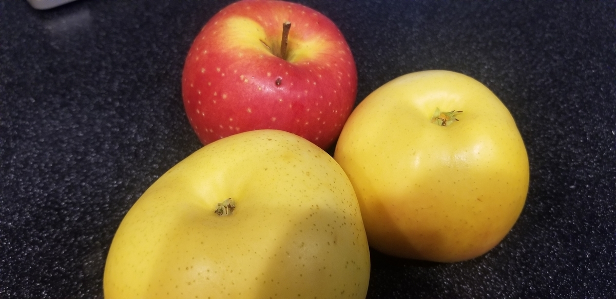 f:id:omuzig:20211204082947j:plain