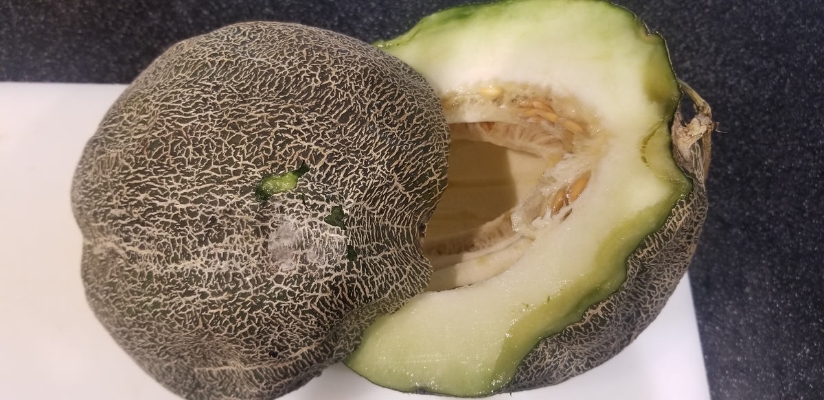 f:id:omuzig:20211204083048j:plain