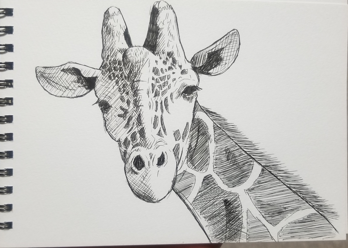 f:id:omuzig:20211207234850j:plain