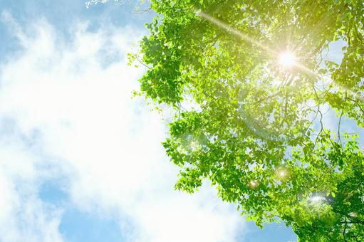 f:id:omuzig:20211225005555p:plain