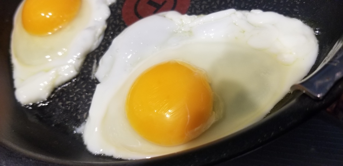 f:id:omuzig:20211227142427j:plain