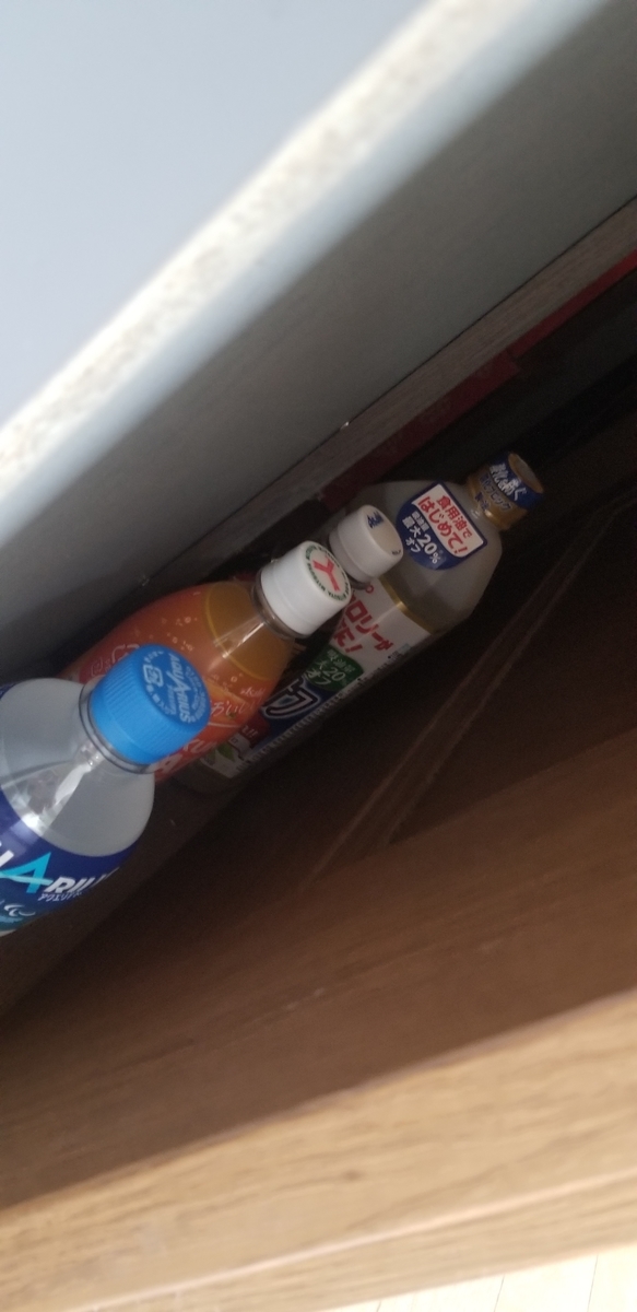 f:id:omuzig:20211231104314j:plain