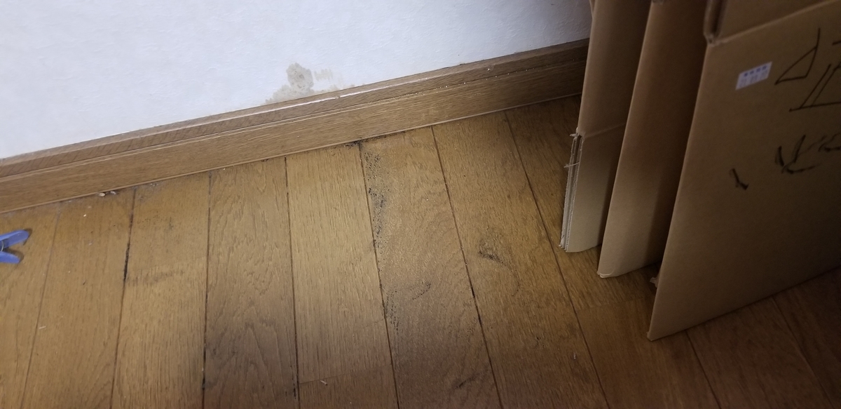 f:id:omuzig:20211231104326j:plain