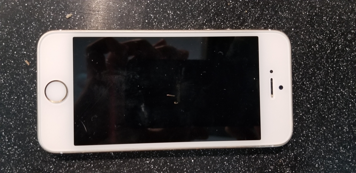 f:id:omuzig:20220121223016j:plain