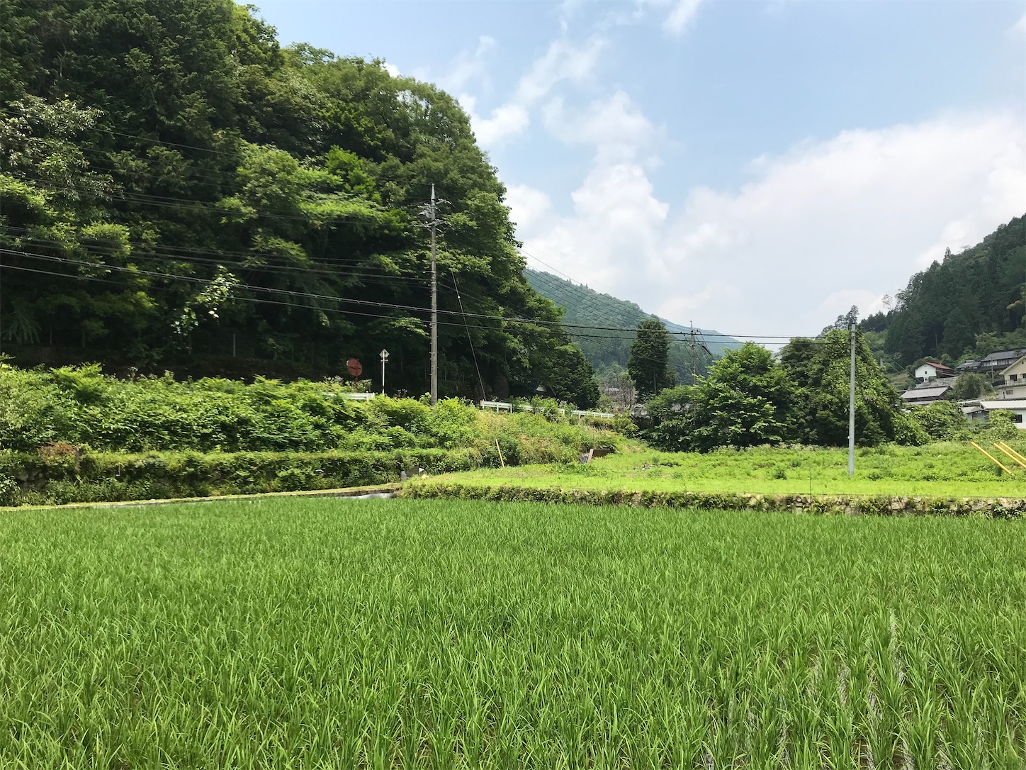 f:id:on-ord:20210725172223j:image