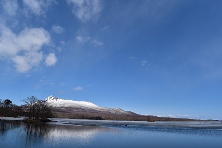 f:id:on-yasuken:20160326113645j:image