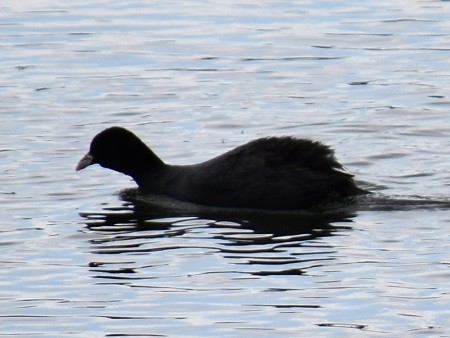 f:id:on-yasuken:20160326114901j:image