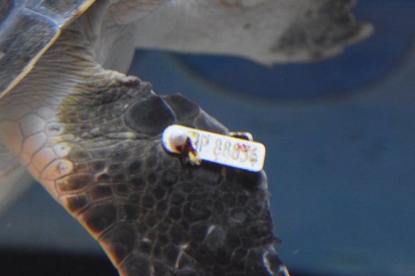 f:id:on-yasuken:20161217141127j:image