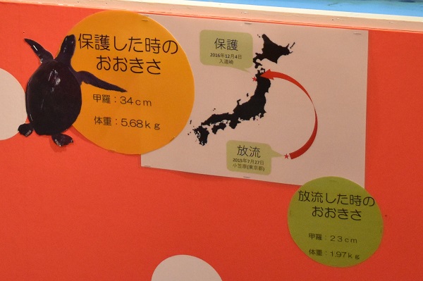 f:id:on-yasuken:20161217142001j:image