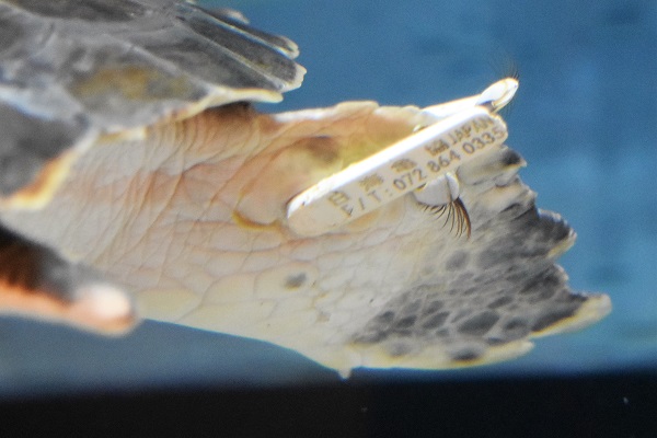 f:id:on-yasuken:20161217142236j:image