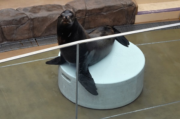 f:id:on-yasuken:20170629112443j:image