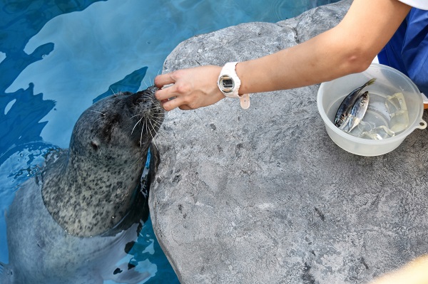 f:id:on-yasuken:20170629143155j:image