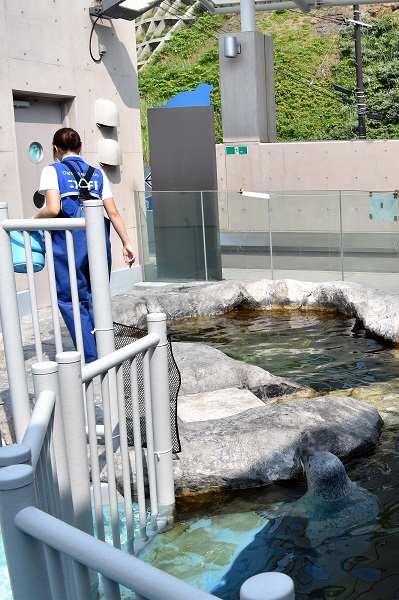 f:id:on-yasuken:20170629143842j:image