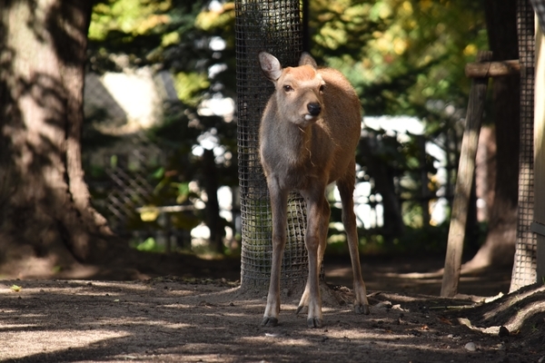 f:id:on-yasuken:20190929135651j:plain