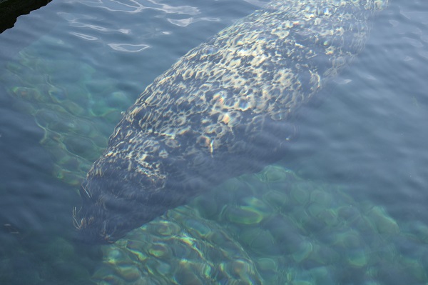 f:id:on-yasuken:20190929141640j:plain