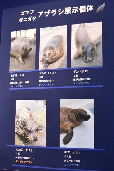 f:id:on-yasuken:20190929142506j:plain