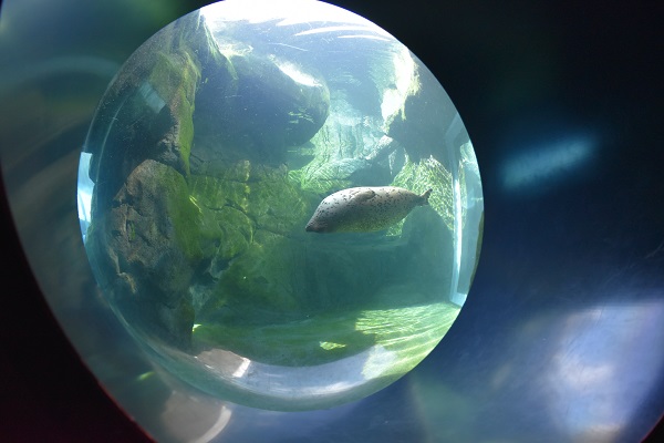 f:id:on-yasuken:20190929143021j:plain