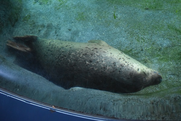 f:id:on-yasuken:20190929143116j:plain