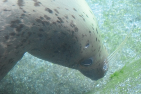 f:id:on-yasuken:20190929143130j:plain