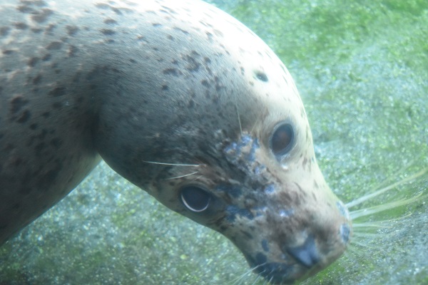 f:id:on-yasuken:20190929143131j:plain