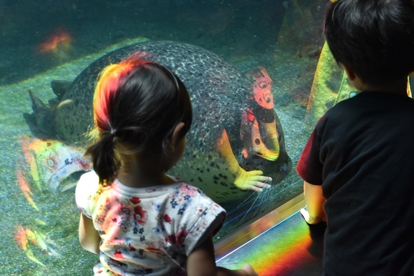 f:id:on-yasuken:20190929144011j:plain