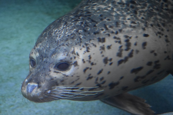 f:id:on-yasuken:20190929145223j:plain