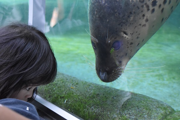 f:id:on-yasuken:20190929145409j:plain