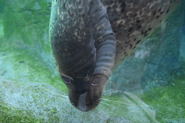 f:id:on-yasuken:20190929145553j:plain