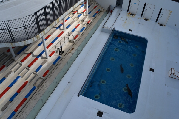 f:id:on-yasuken:20200318134415j:plain