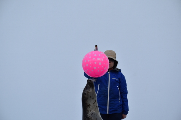 f:id:on-yasuken:20200318145107j:plain