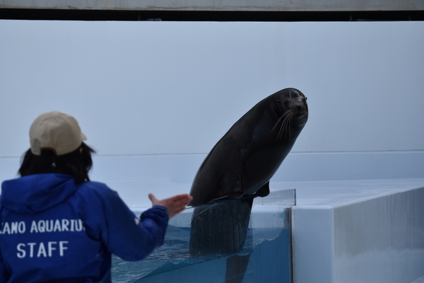 f:id:on-yasuken:20200318145751j:plain