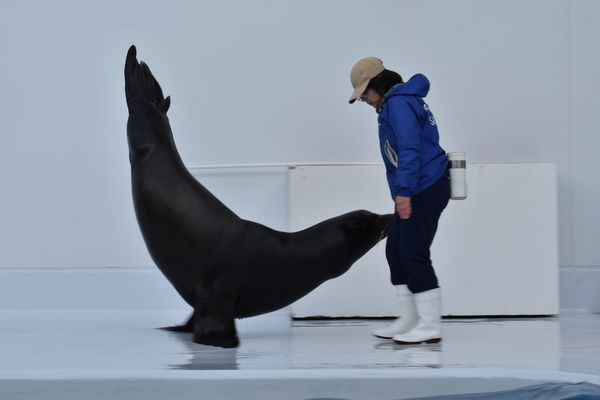 f:id:on-yasuken:20200318150404j:plain