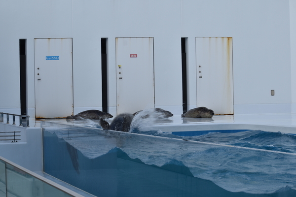 f:id:on-yasuken:20200318150454j:plain