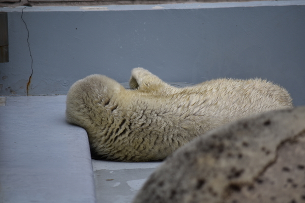 f:id:on-yasuken:20200327115607j:plain