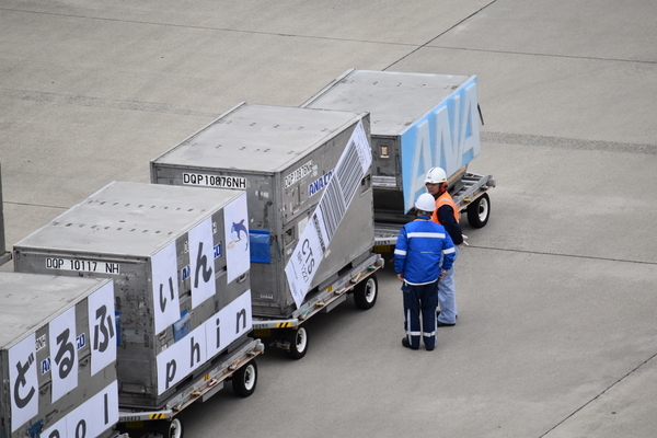 f:id:on-yasuken:20200328133951j:plain